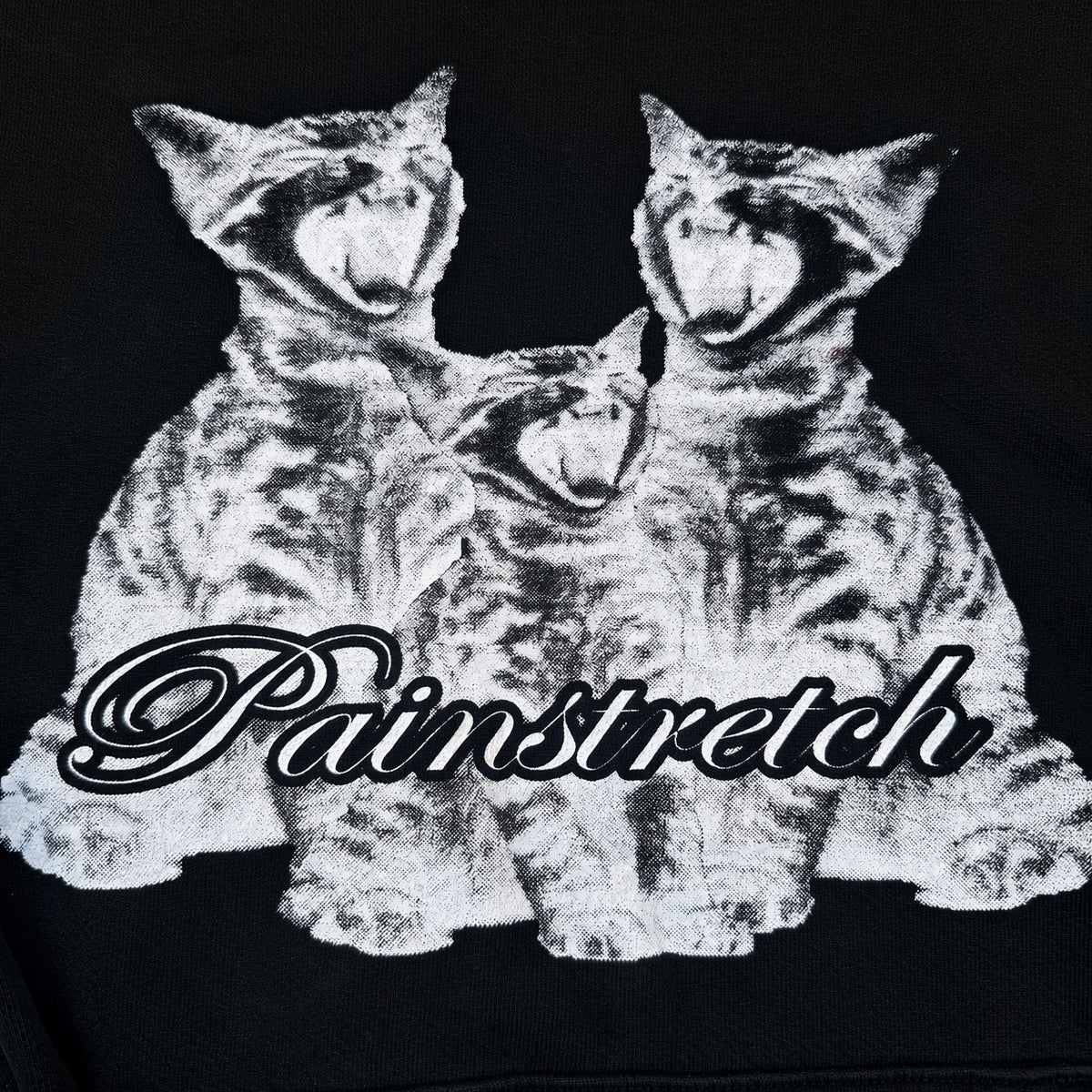 Cat Hoodie