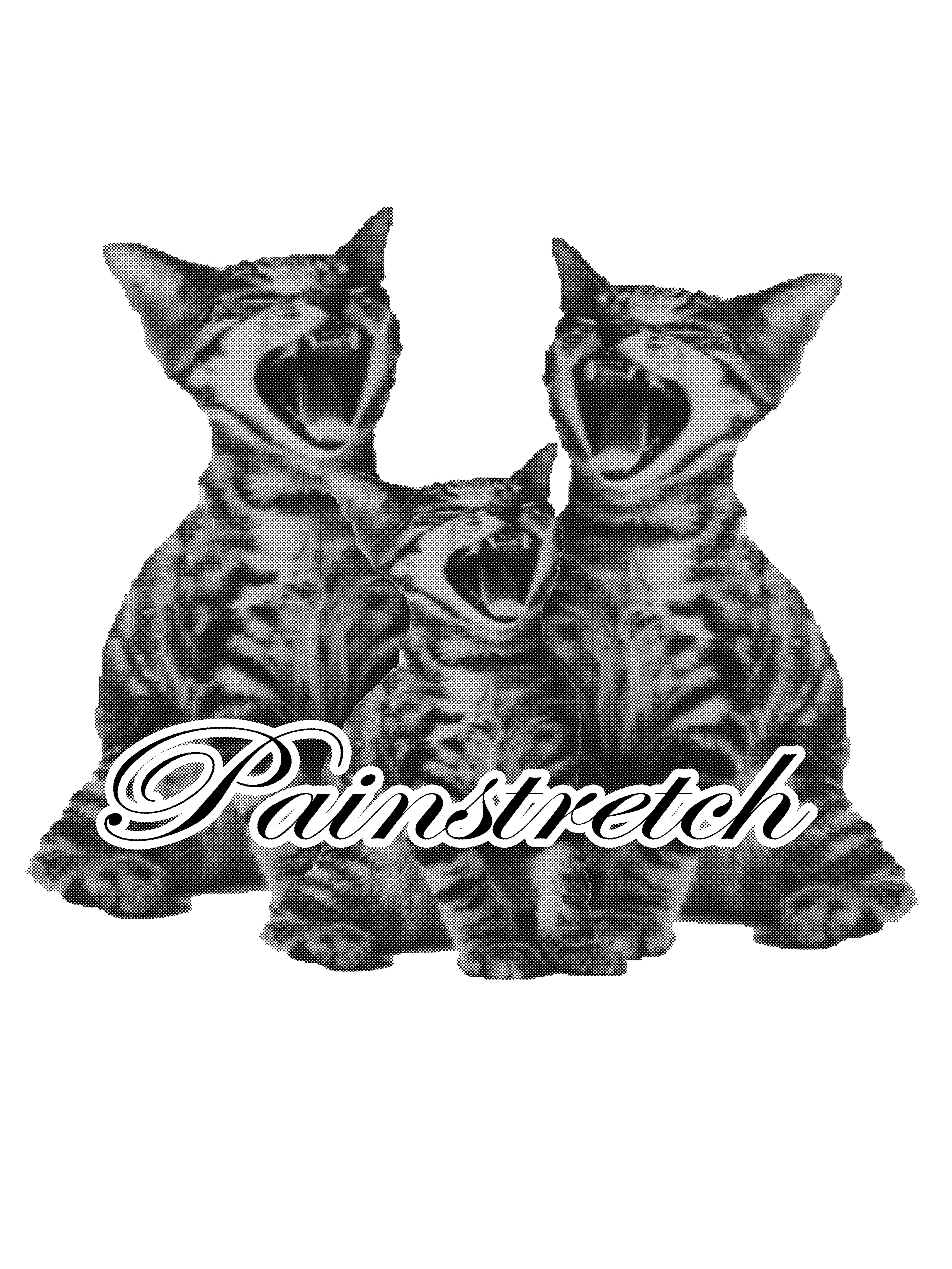 painstretch